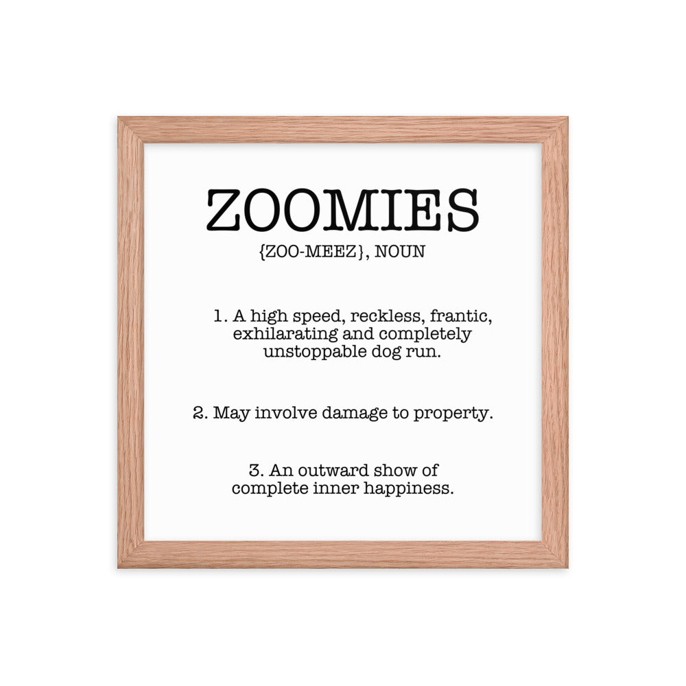 Zoomies Definition Framed Poster