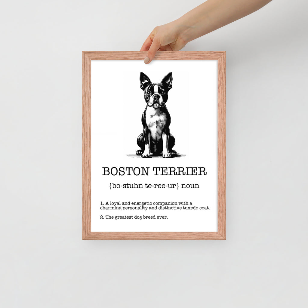 Boston Terrier Definition Framed Poster