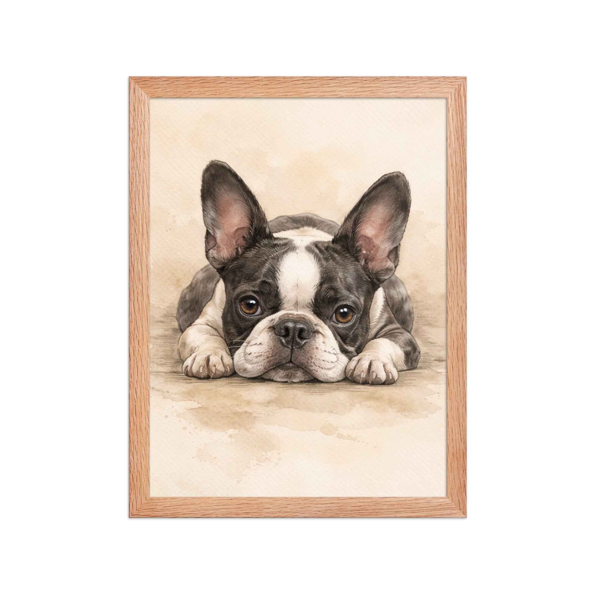 Watercolor Boston Terrier Dog Art Print Framed Poster . Red Oak 12″×16″