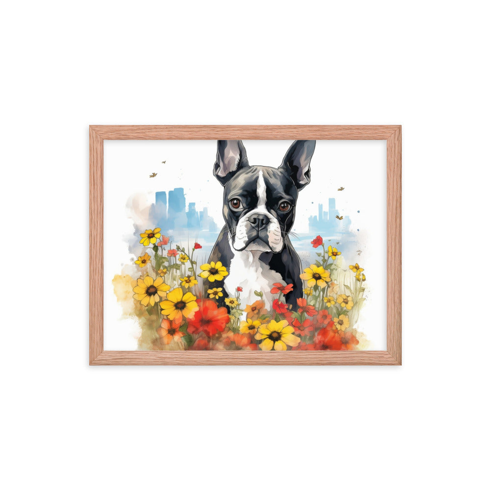 Boston Terrier Dog In A Garden Outside The City Framed Poster