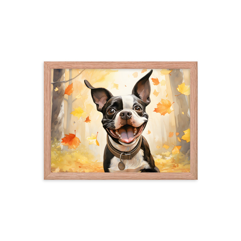 Cheerful Boston Terrier Dog Exploring A Park Watercolor Framed poster