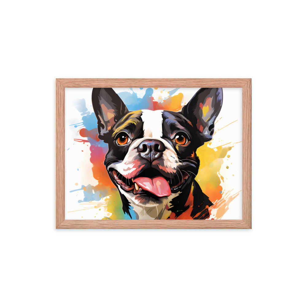 Colorful Playful Boston Terrier Dog Splash Art Framed Poster