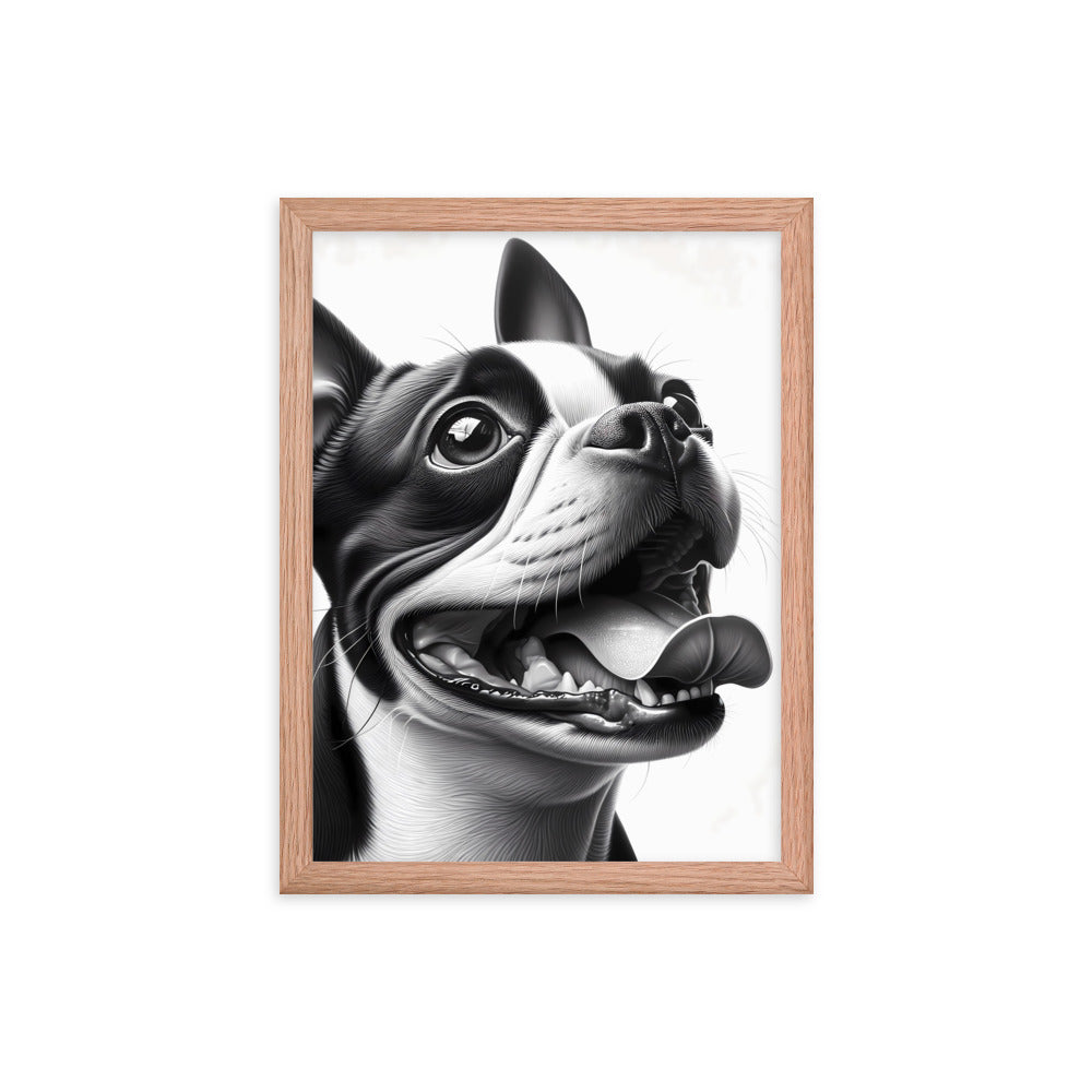 Overjoyed Boston Terrier Dog Framed Poster