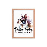 Boston Terrier Love Club - Elegant Watercolor Boston Terrier Art Framed Poster