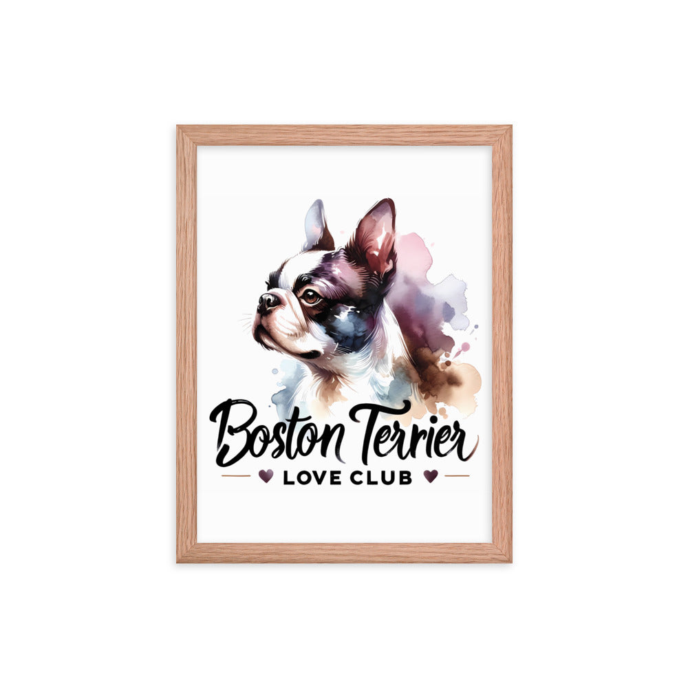 Boston Terrier Love Club - Elegant Watercolor Boston Terrier Art Framed Poster