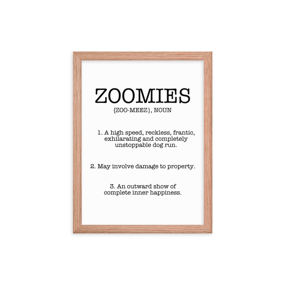 Zoomies Definition Framed Poster