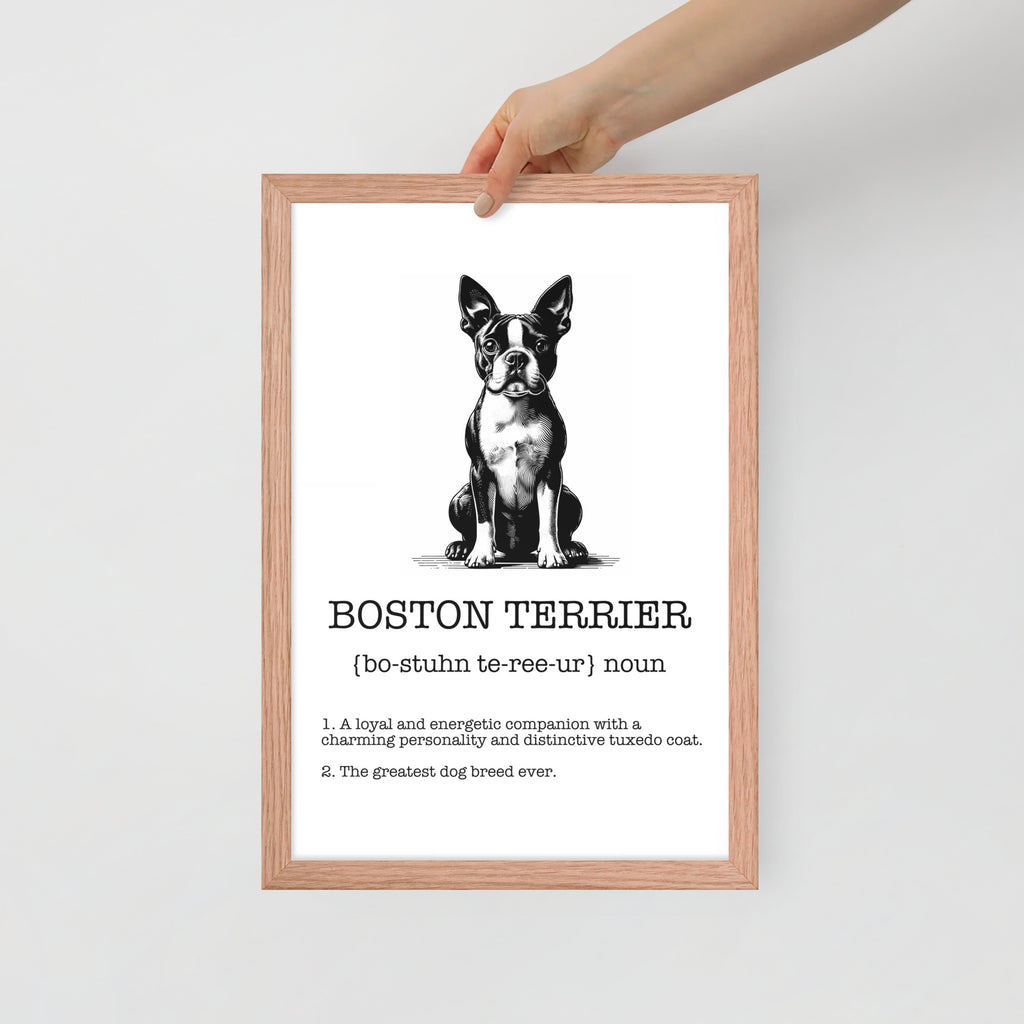 Boston Terrier Definition Framed Poster