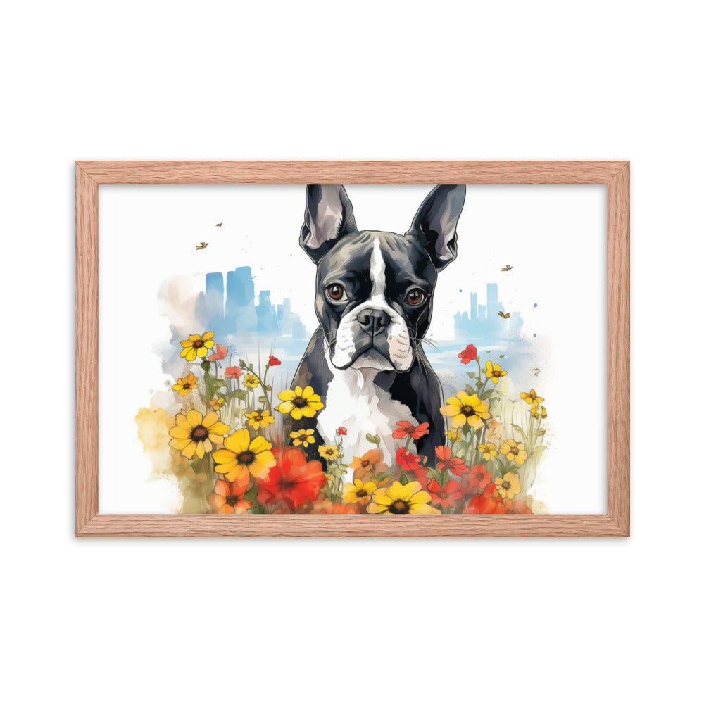 Boston Terrier Dog In A Garden Outside The City Framed Poster