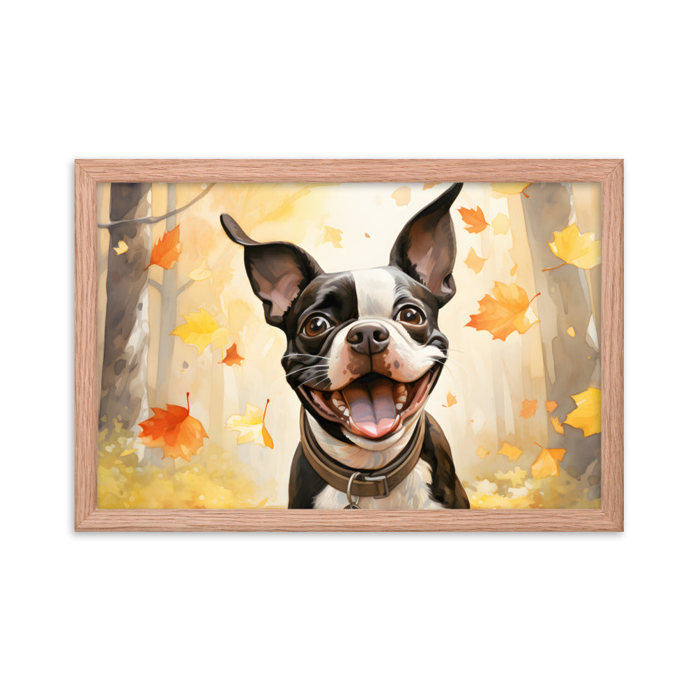 Cheerful Boston Terrier Dog Exploring A Park Watercolor Framed poster