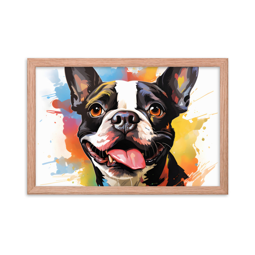 Colorful Playful Boston Terrier Dog Splash Art Framed Poster