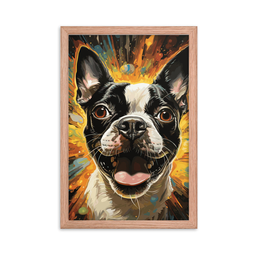 Zoomies Excitement Boston Terrier Dog Framed poster