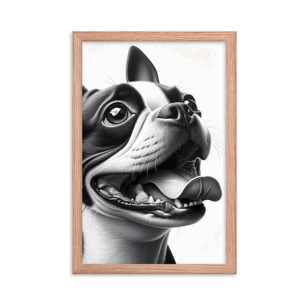 Overjoyed Boston Terrier Dog Framed Poster