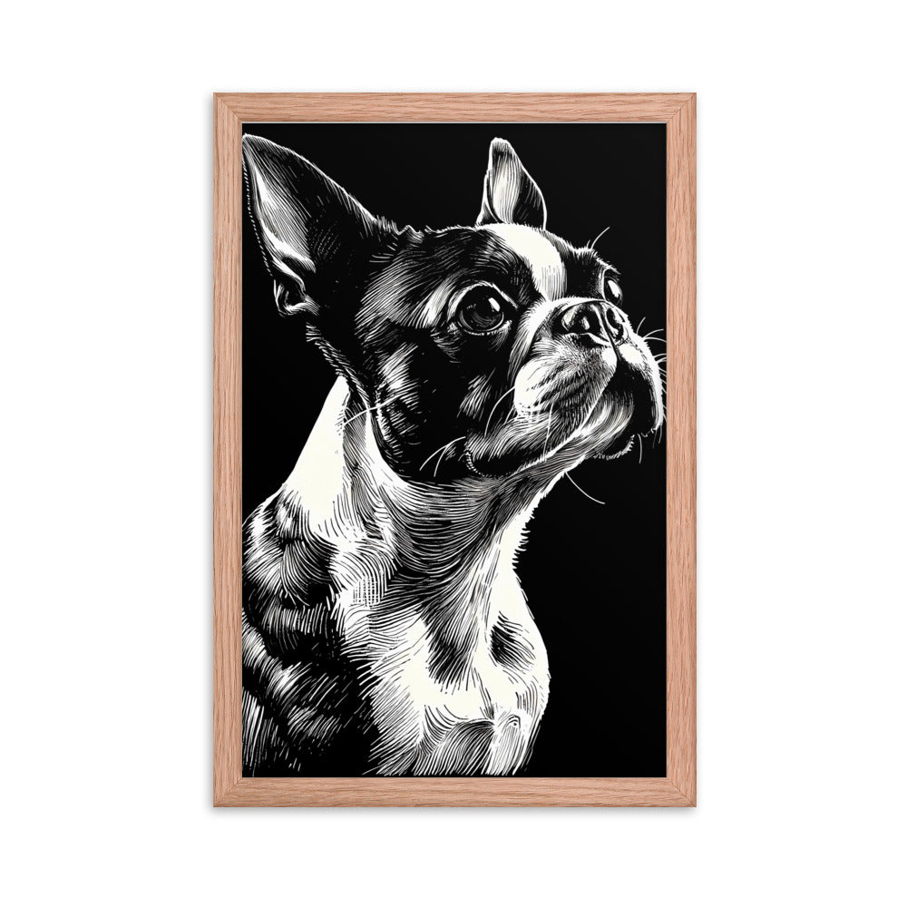 Boston Terrier Line Art Framed Poster