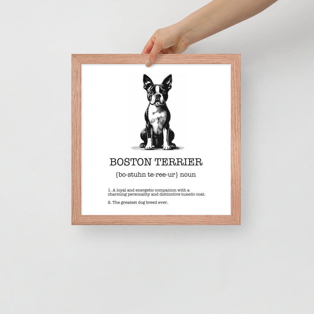 Boston Terrier Definition Framed Poster