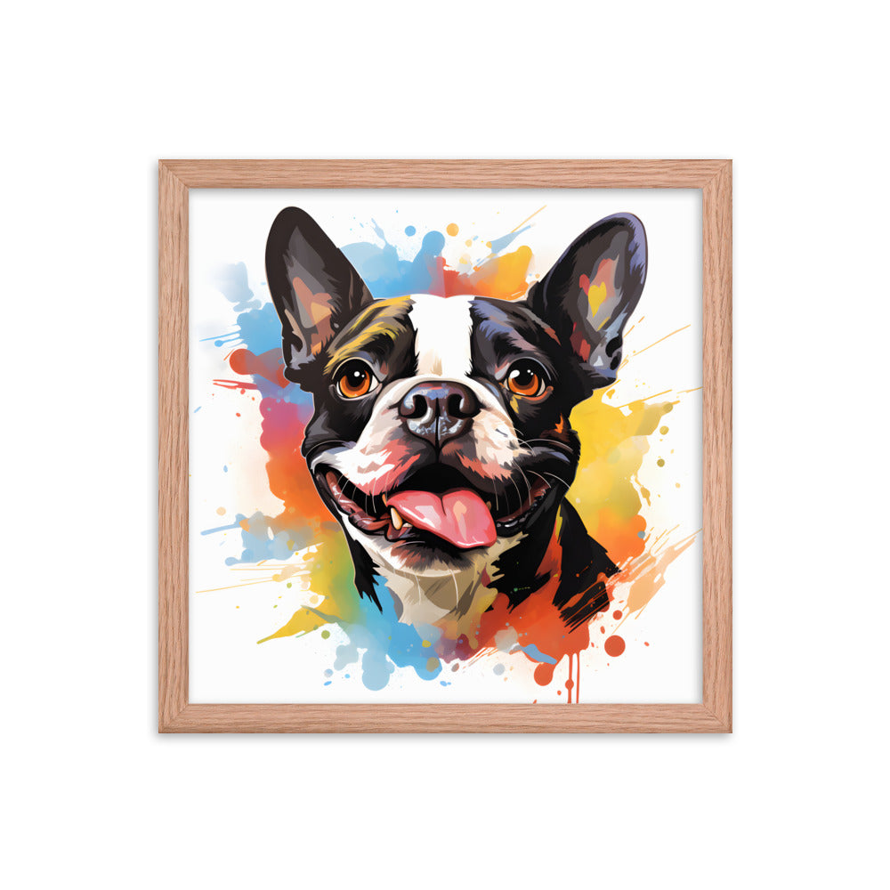 Colorful Playful Boston Terrier Dog Splash Art Framed Poster