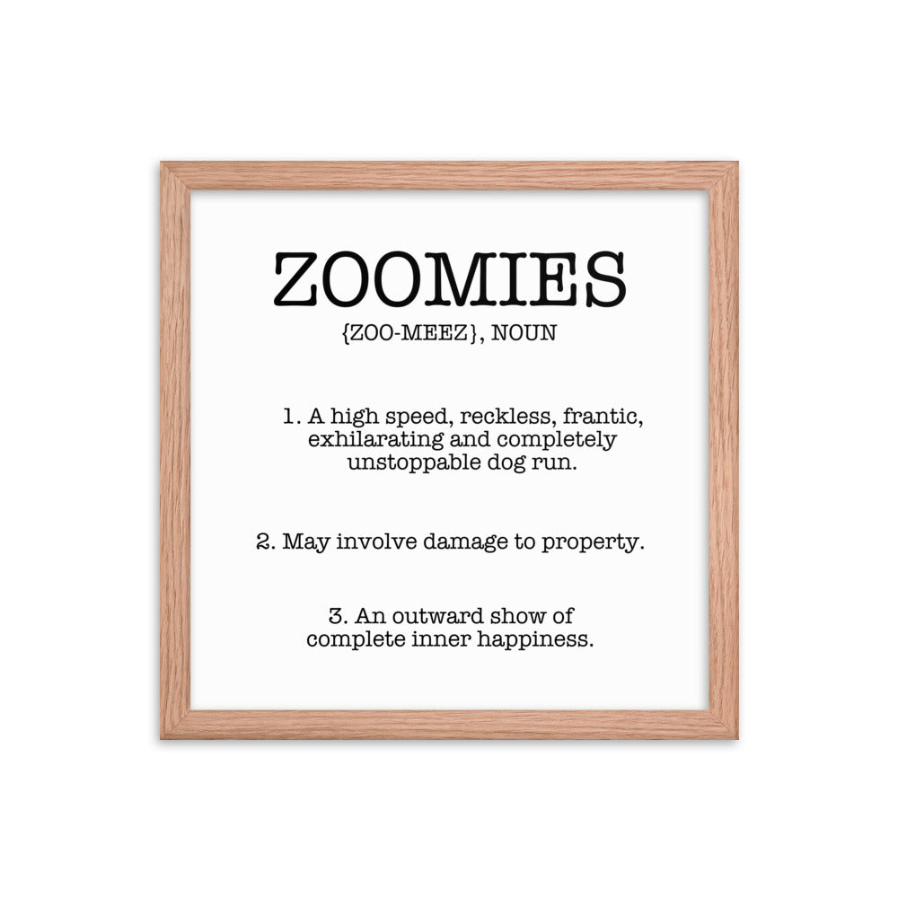 Zoomies Definition Framed Poster