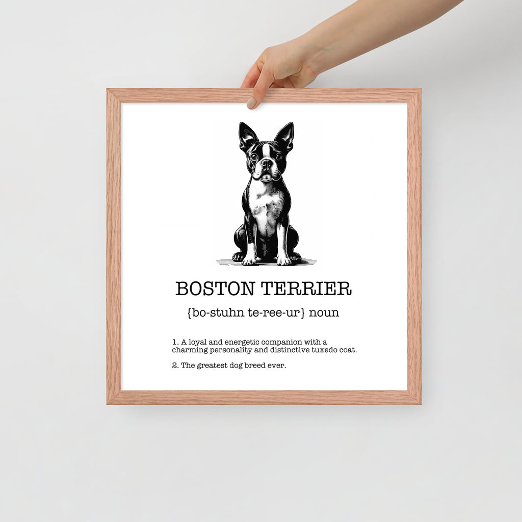 Boston Terrier Definition Framed Poster