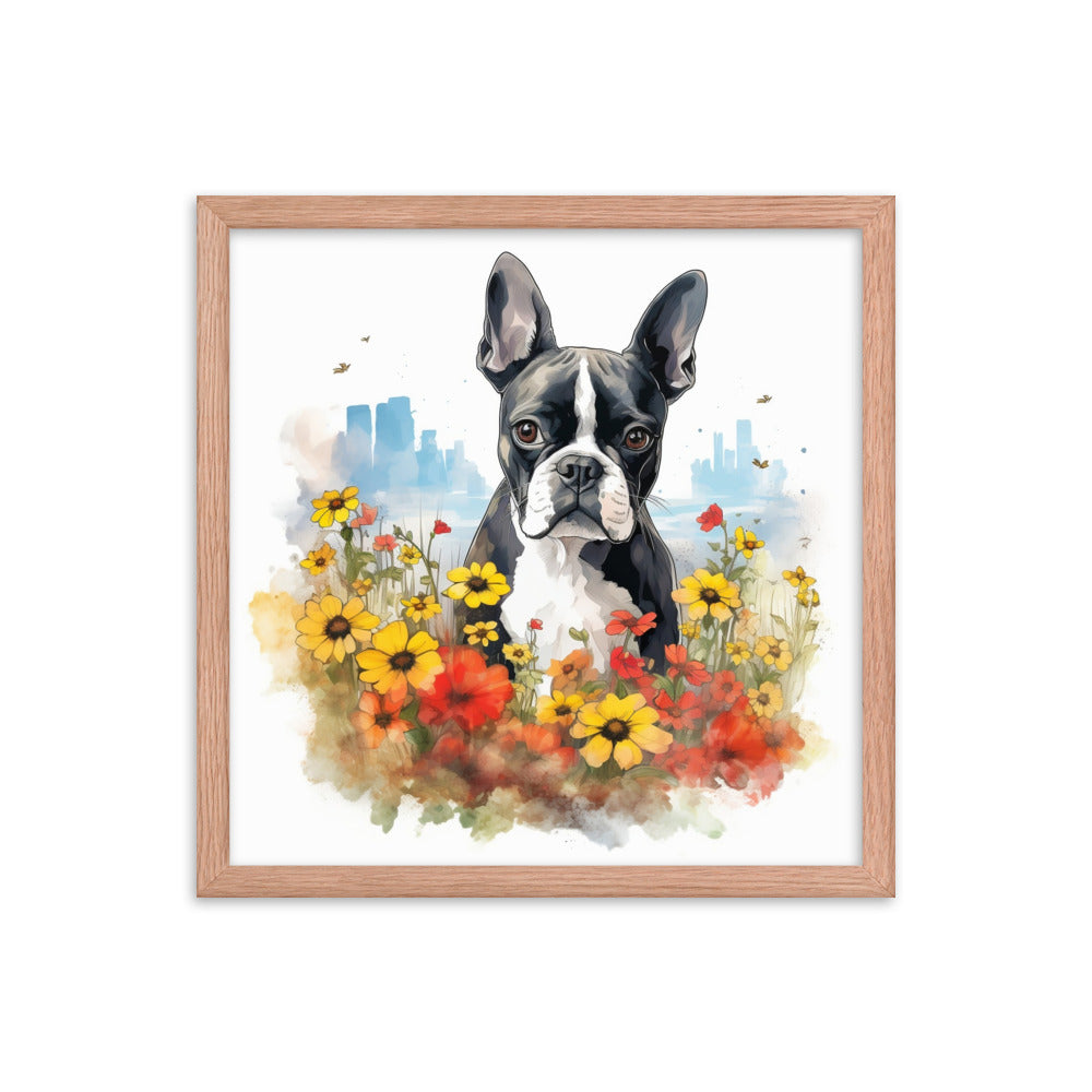 Boston Terrier Dog In A Garden Outside The City Framed Poster