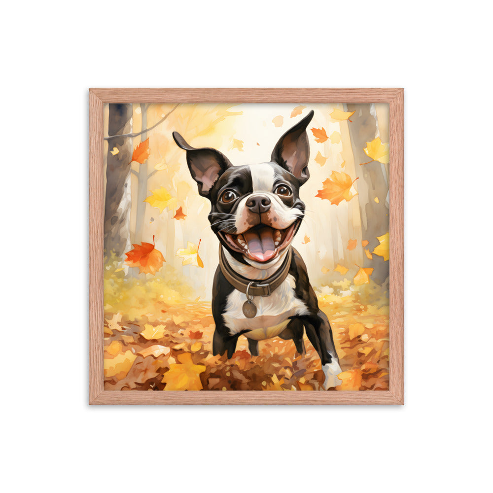 Cheerful Boston Terrier Dog Exploring A Park Watercolor Framed poster