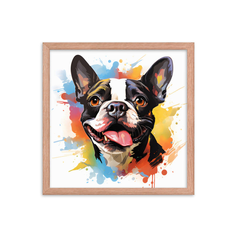 Colorful Playful Boston Terrier Dog Splash Art Framed Poster