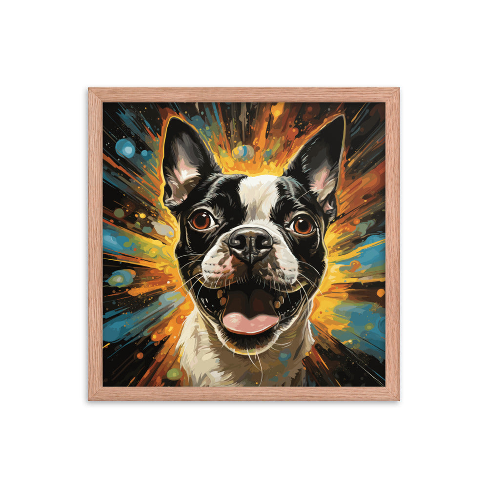 Zoomies Excitement Boston Terrier Dog Framed poster