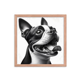 Overjoyed Boston Terrier Dog Framed Poster