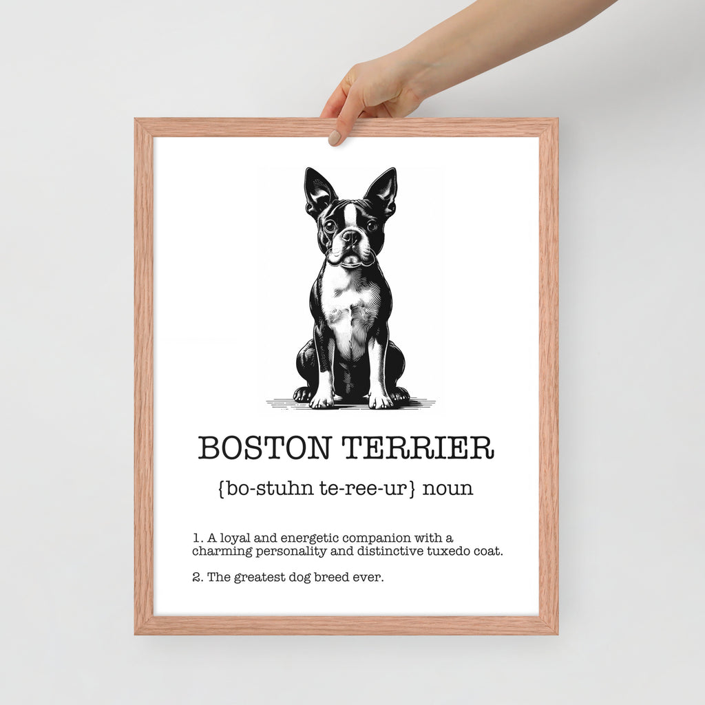 Boston Terrier Definition Framed Poster