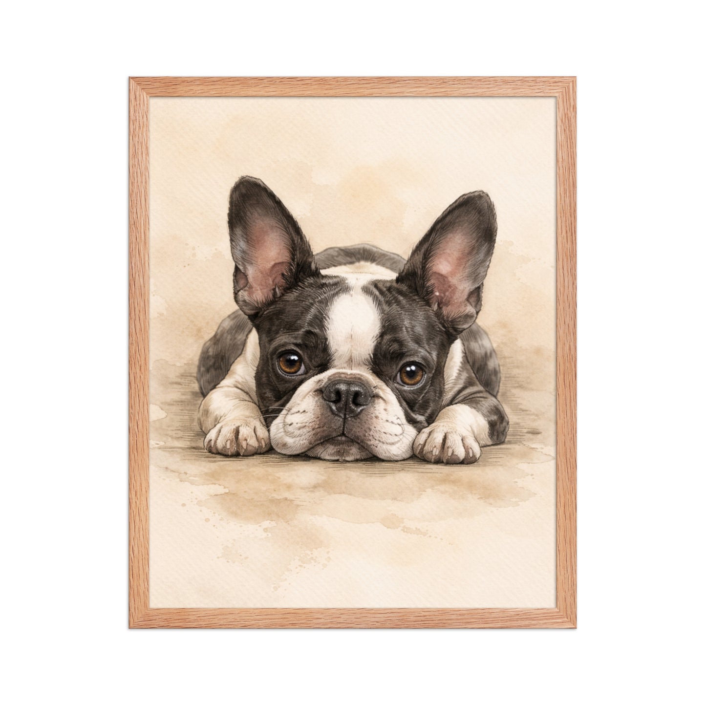 Watercolor Boston Terrier Dog Art Print Framed Poster . Red Oak 16″×20″