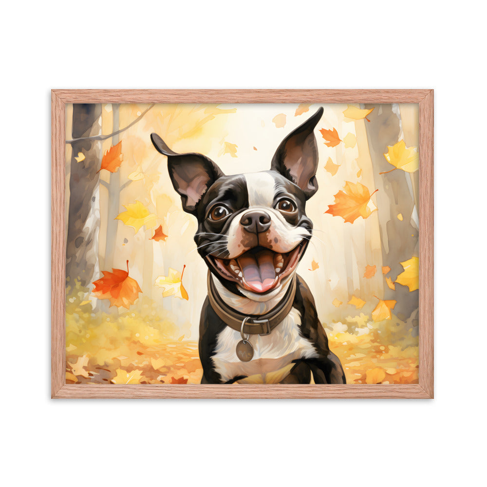 Cheerful Boston Terrier Dog Exploring A Park Watercolor Framed poster