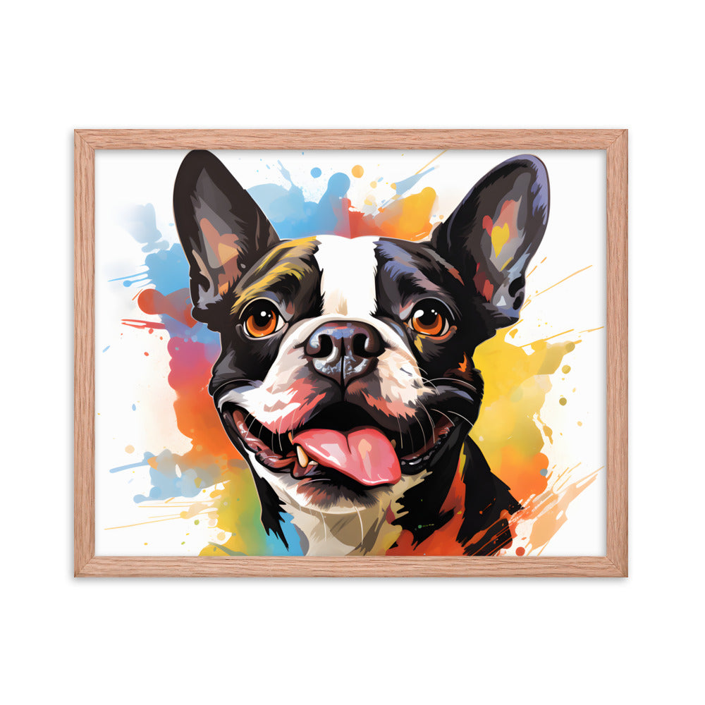 Colorful Playful Boston Terrier Dog Splash Art Framed Poster