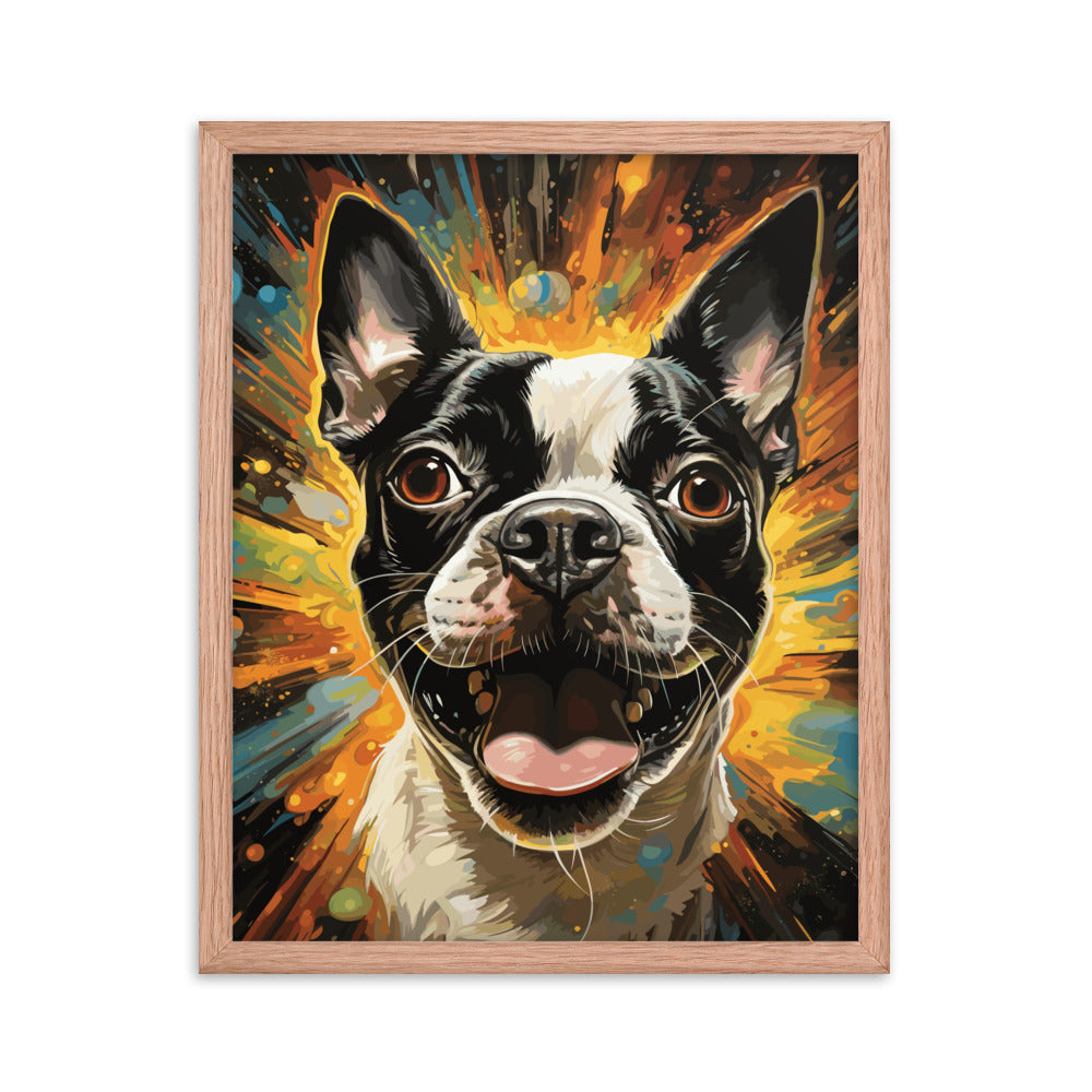 Zoomies Excitement Boston Terrier Dog Framed poster