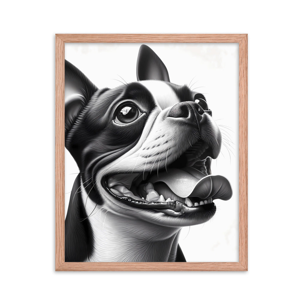 Overjoyed Boston Terrier Dog Framed Poster