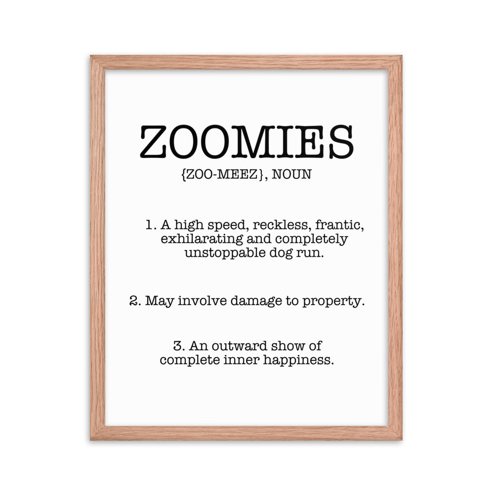 Zoomies Definition Framed Poster