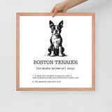 Boston Terrier Definition Framed Poster