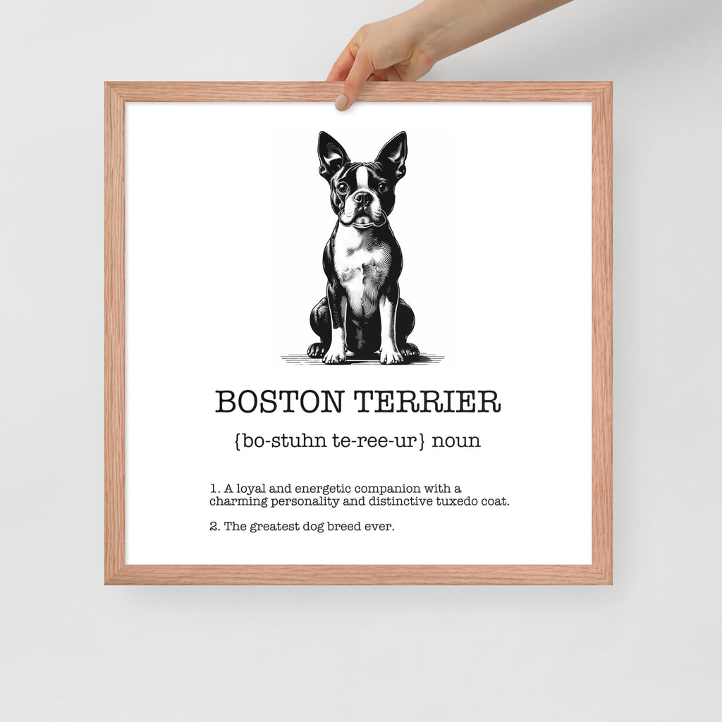 Boston Terrier Definition Framed Poster