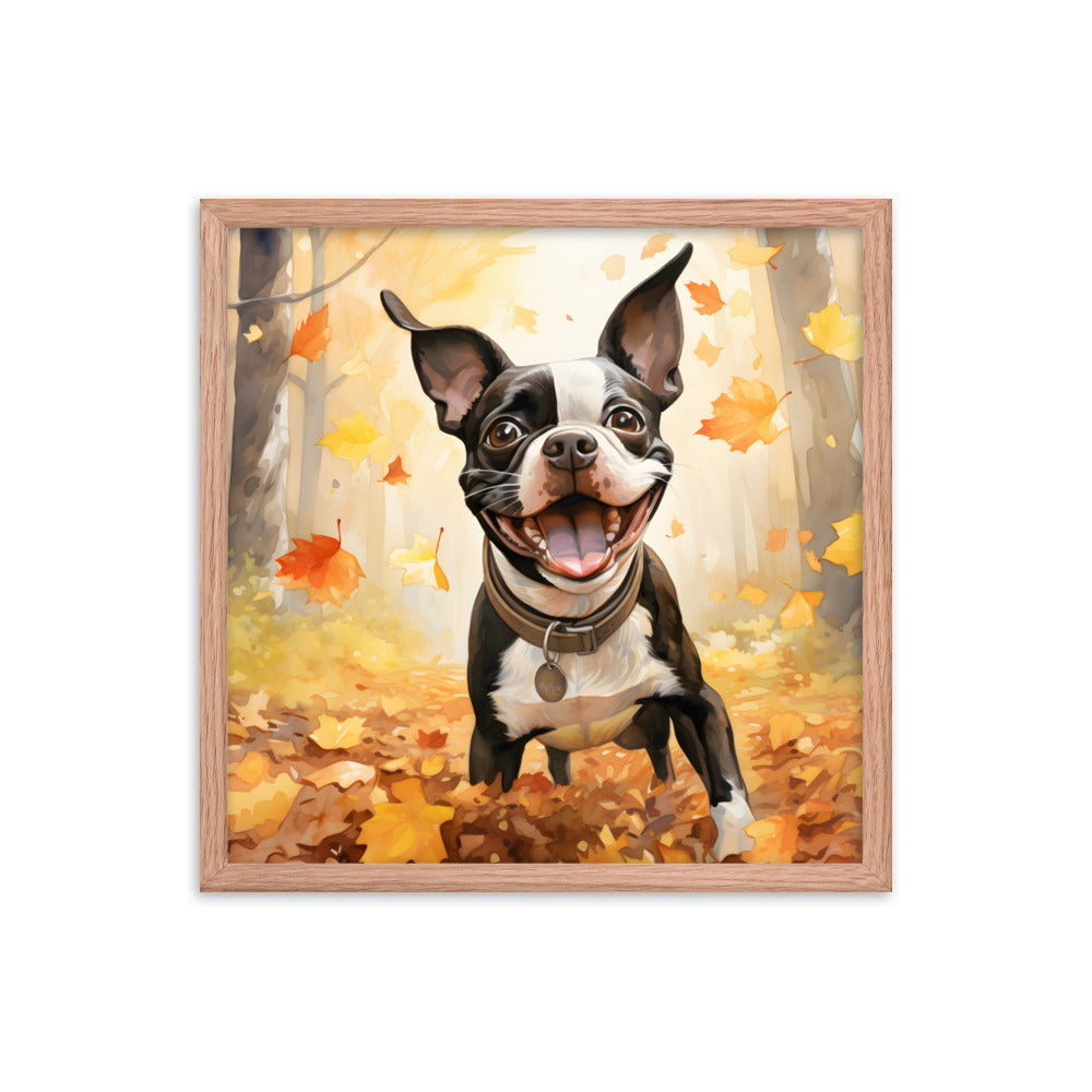 Cheerful Boston Terrier Dog Exploring A Park Watercolor Framed poster