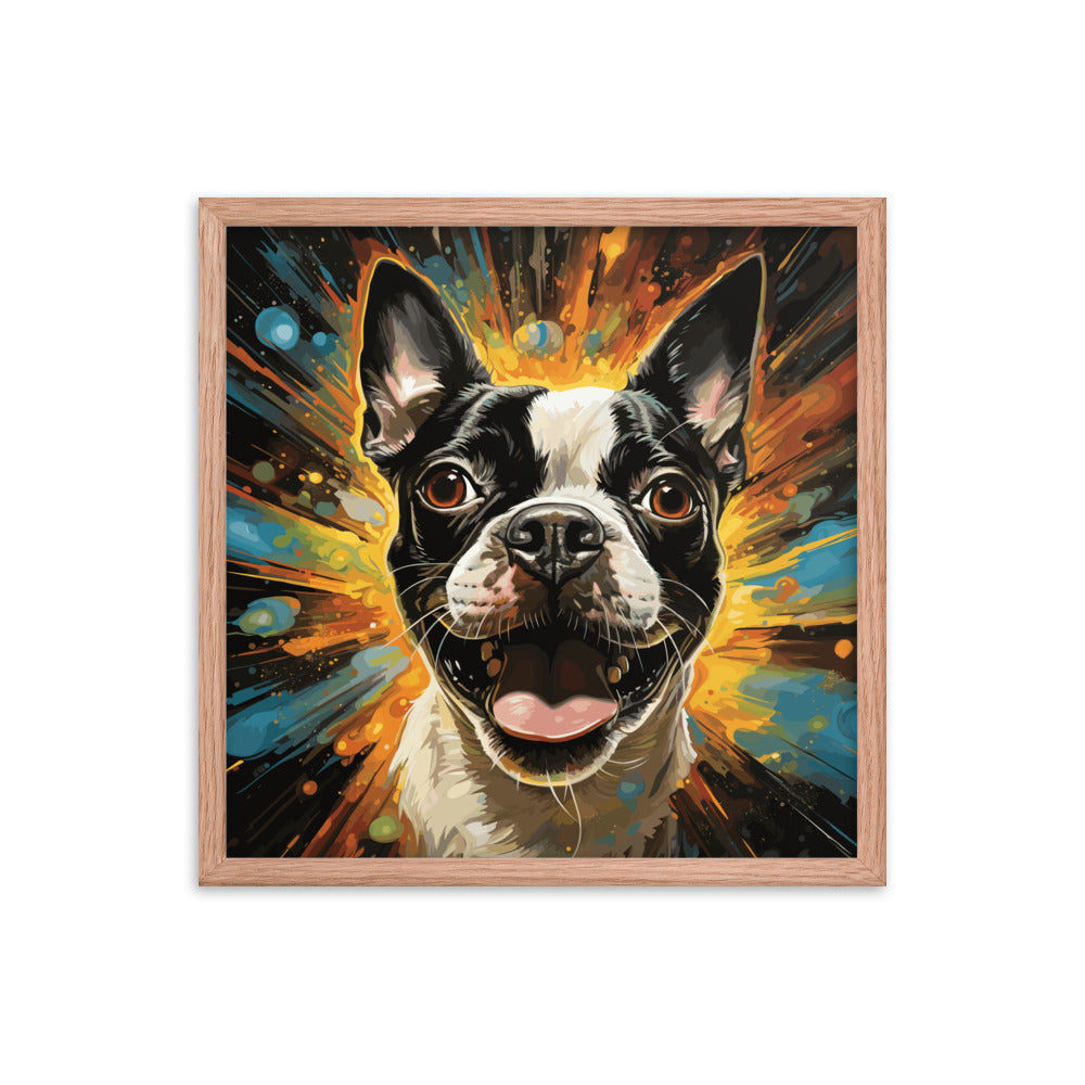 Zoomies Excitement Boston Terrier Dog Framed poster