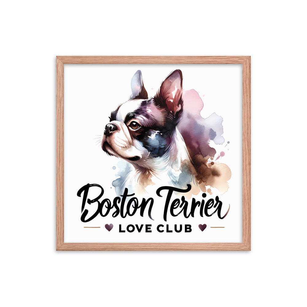 Boston Terrier Love Club - Elegant Watercolor Boston Terrier Art Framed Poster