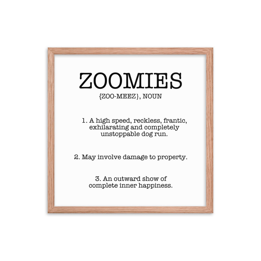 Zoomies Definition Framed Poster