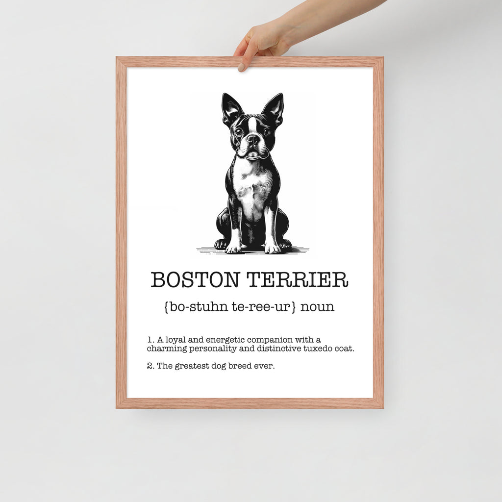 Boston Terrier Definition Framed Poster