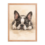 Watercolor Boston Terrier Dog Art Print Framed Poster . Red Oak 18″×24″