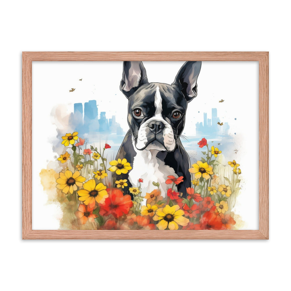 Boston Terrier Dog In A Garden Outside The City Framed Poster