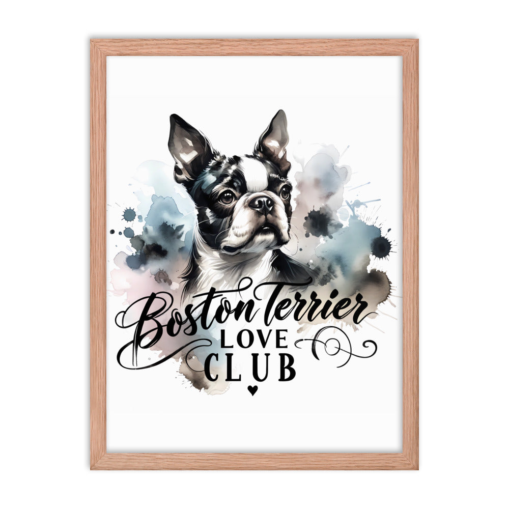 Elegant Watercolor Boston Terrier Art Framed Poster - Boston Terrier Love Club