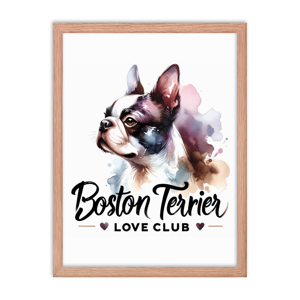 Boston Terrier Love Club - Elegant Watercolor Boston Terrier Art Framed Poster