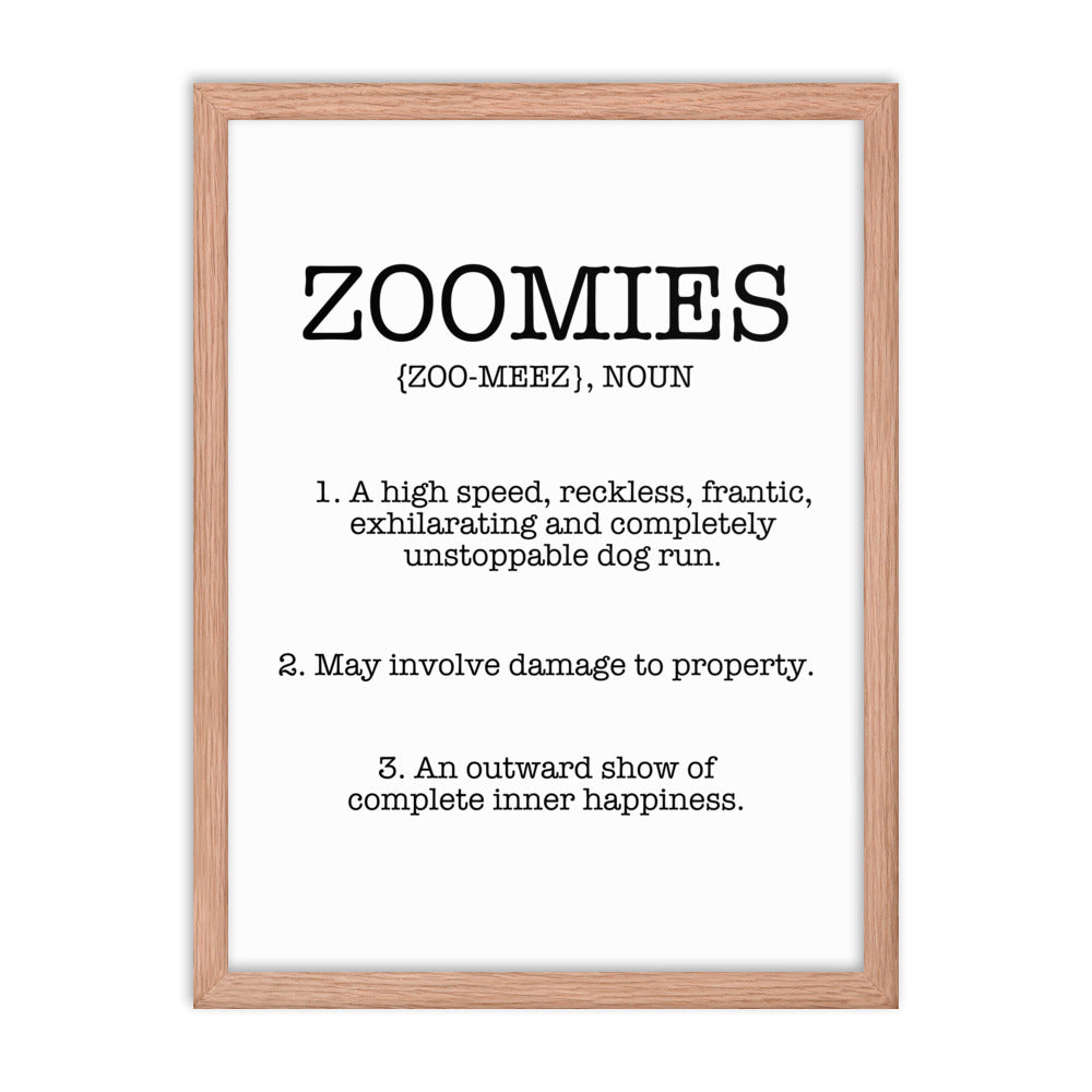 Zoomies Definition Framed Poster