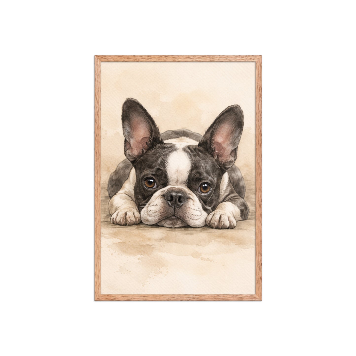 Watercolor Boston Terrier Dog Art Print Framed Poster . Red Oak 20″×30″