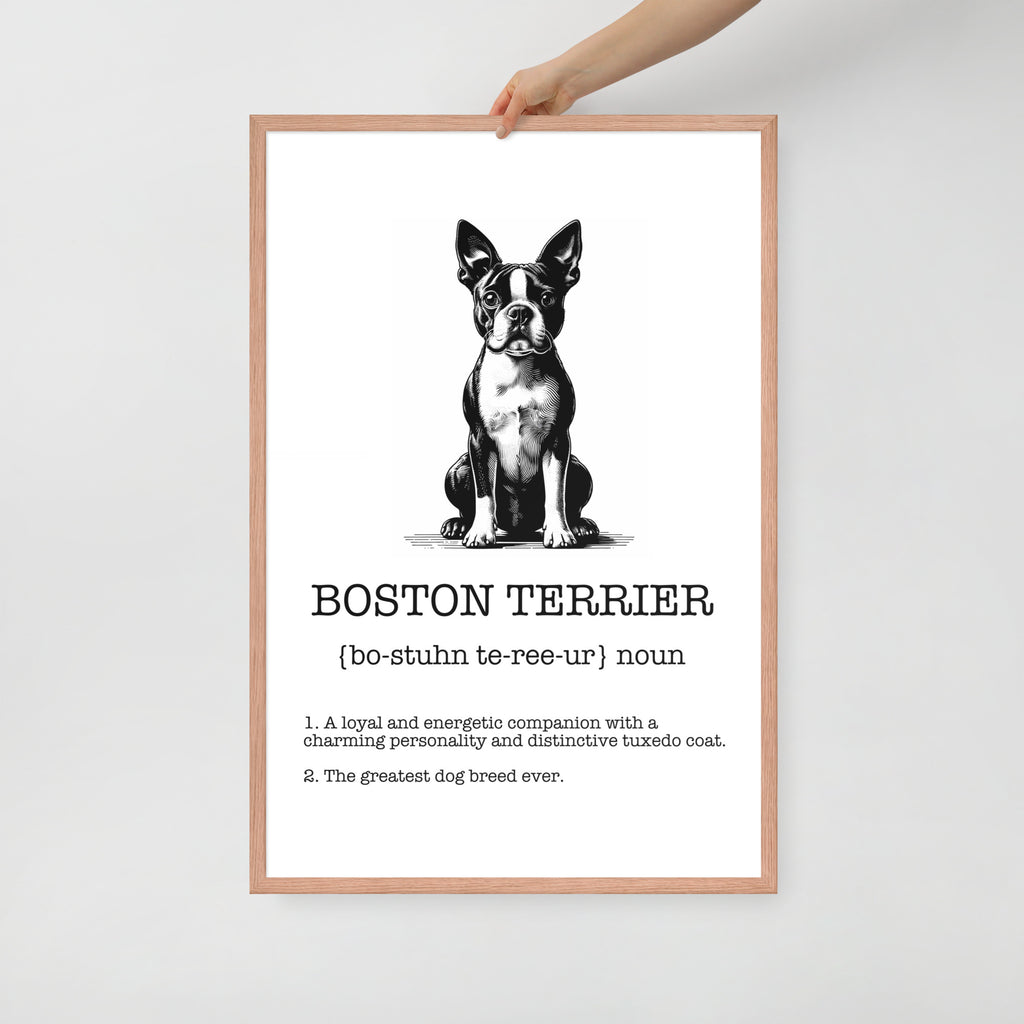 Boston Terrier Definition Framed Poster