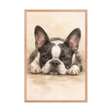 Watercolor Boston Terrier Dog Art Print Framed Poster . Red Oak 24″×36″
