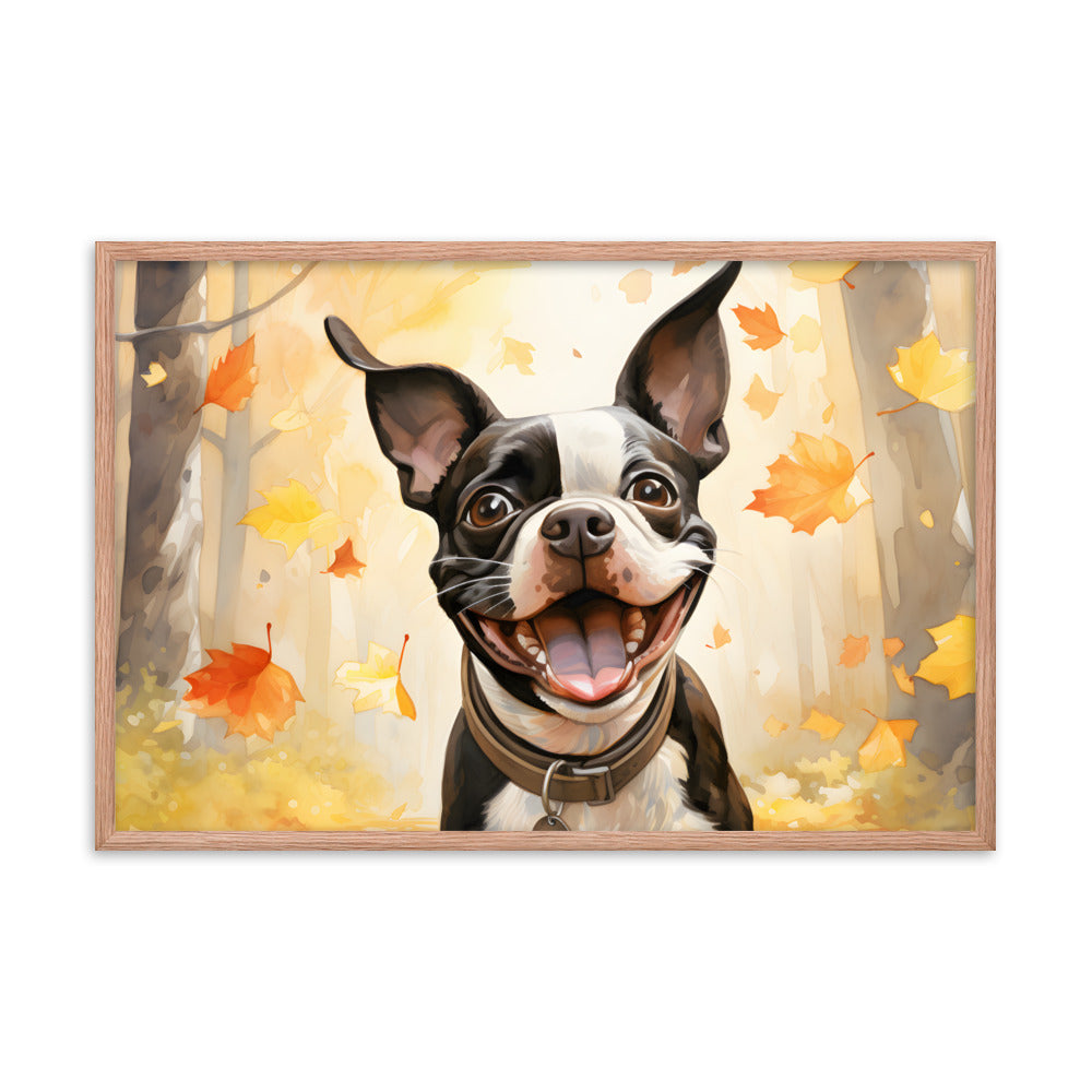 Cheerful Boston Terrier Dog Exploring A Park Watercolor Framed poster