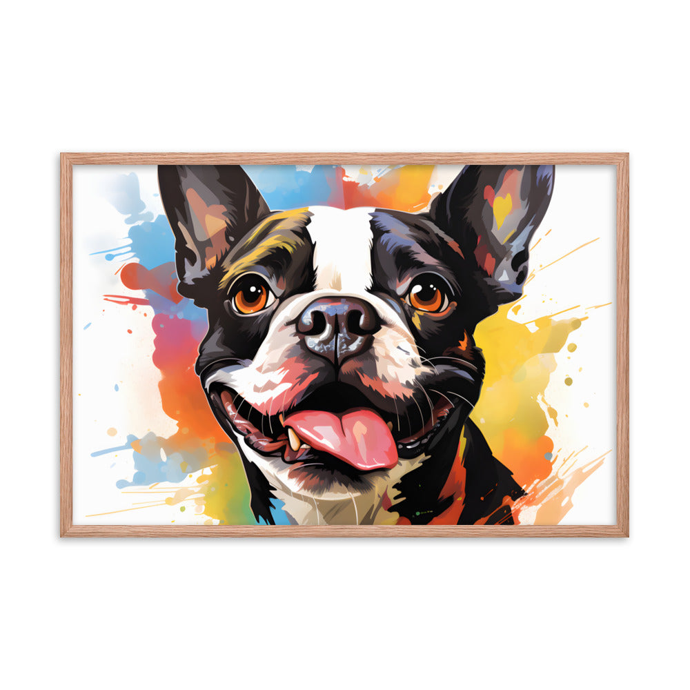 Colorful Playful Boston Terrier Dog Splash Art Framed Poster